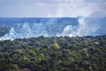 Brazilië wil strengere straffen voor milieudelicten invoeren