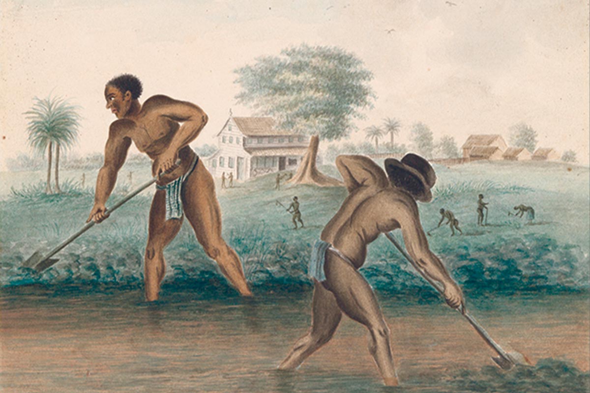 Slavernijverhalen uit eerste hand