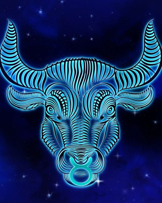 ‘Het is tijd om wilder te leven’