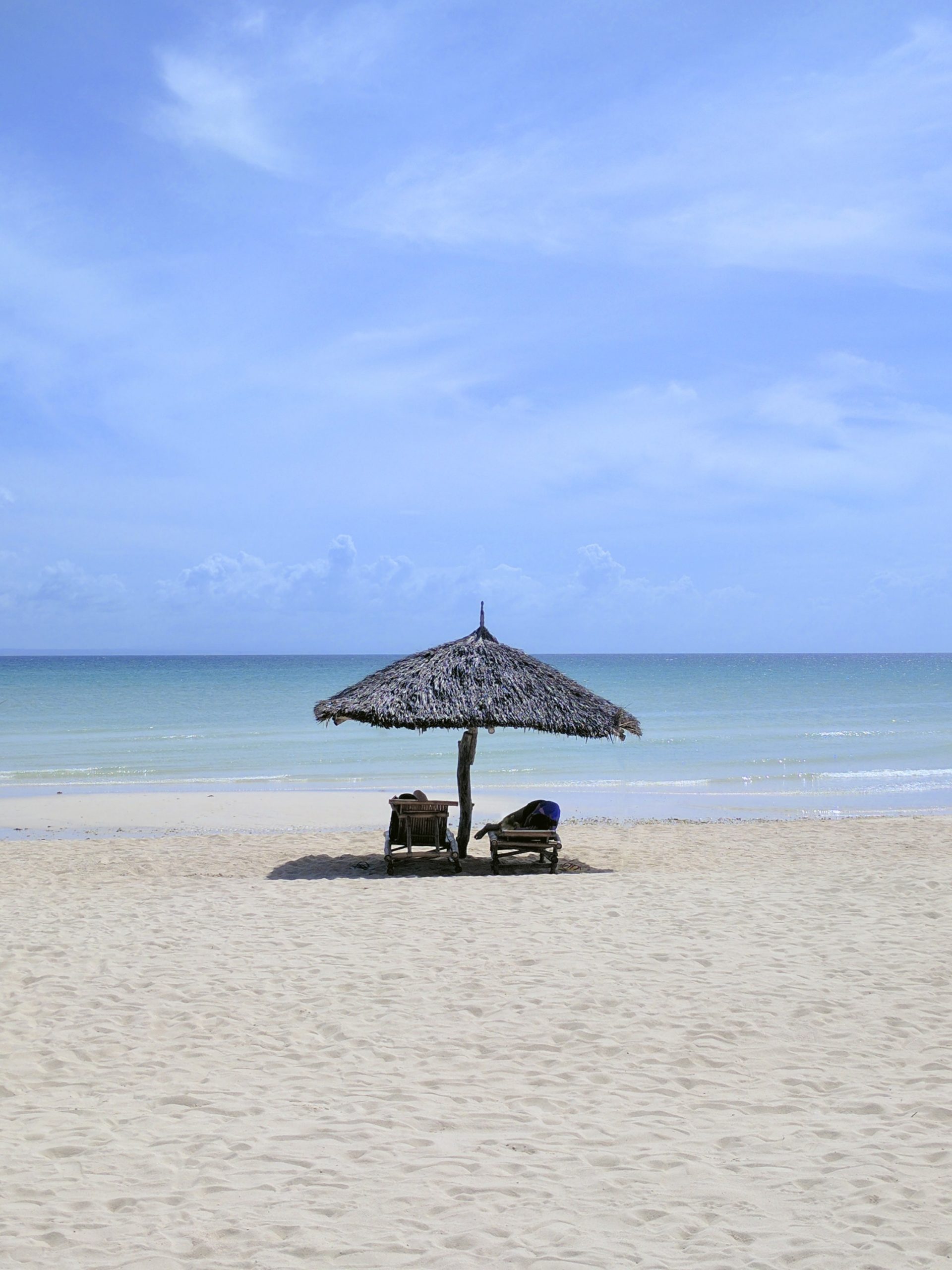 Reader 19 | Tien longreads voor de zomer