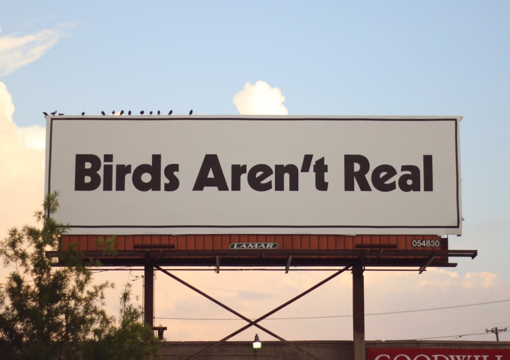 Vogels bestaan niet & Meer tips