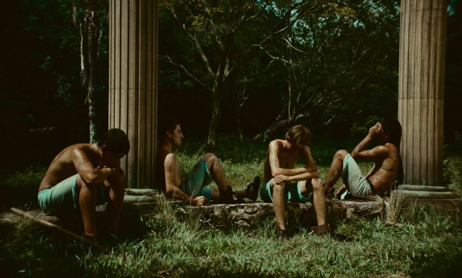 Universum van geweld in een tropisch woud