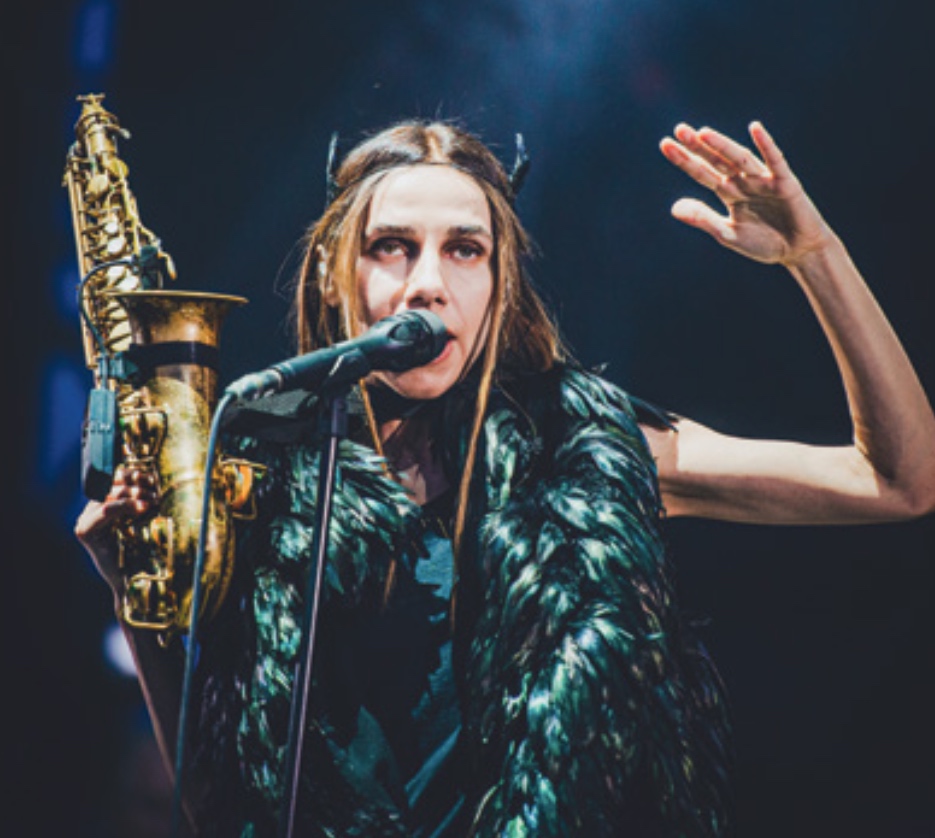 Het nieuwe album van PJ Harvey is niet voor iedereen