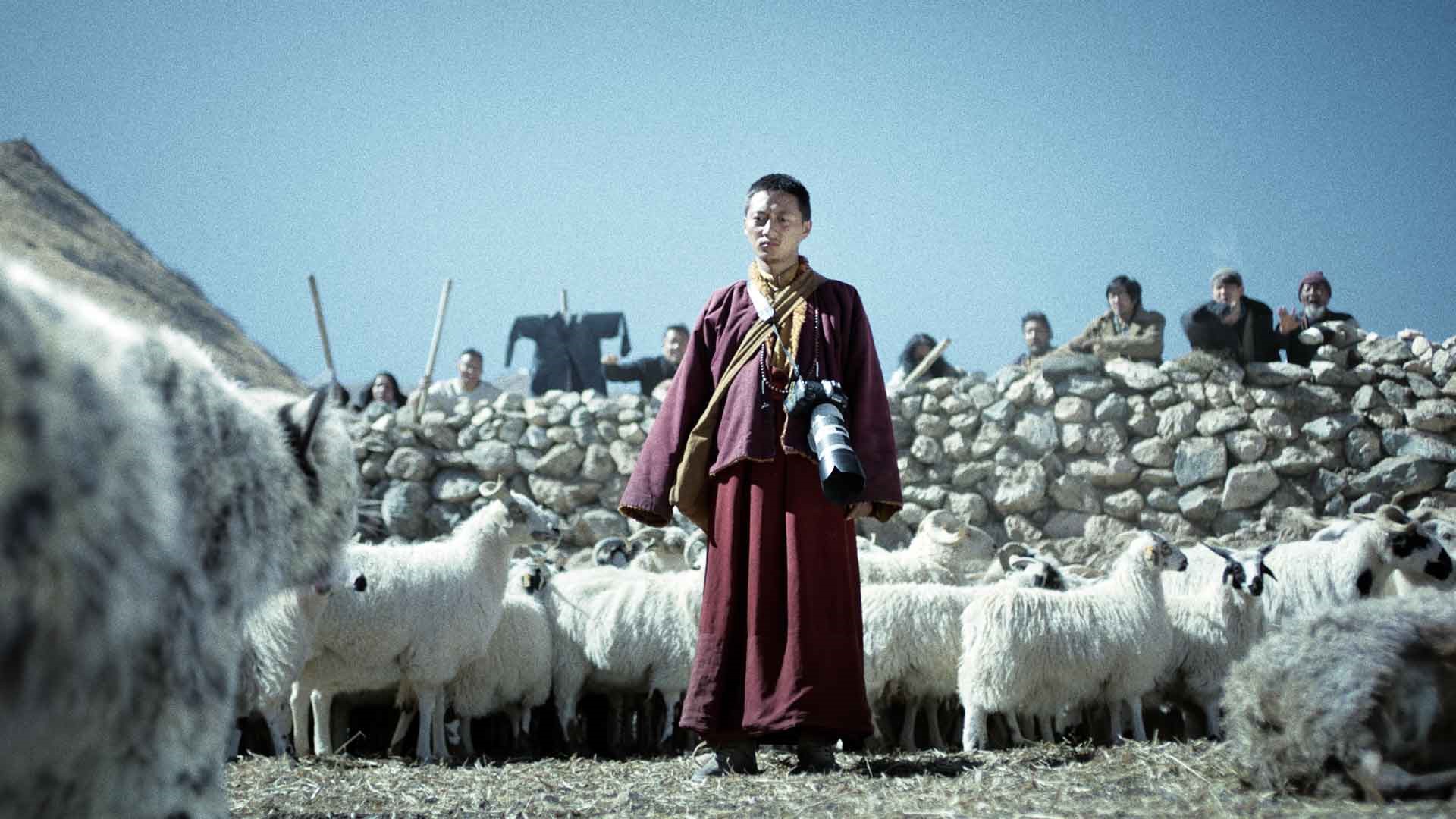 Het dilemma van de sneeuwluipaard